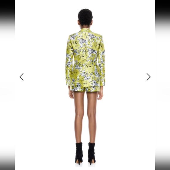 Alice & Olivia Short Set Suit - Picture 9 of 12